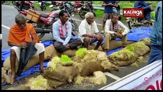 Kalahandi: Farmers’ group block NH 26 in protest of delay in paddy procurement | Kalinga TV