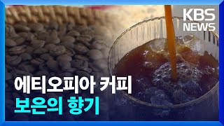 에티오피아 커피…보은의 향기 [통일로 미래로] / KBS  2024.04.20.