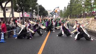 維新～心ひとつ～＠2013　草加ふささら祭り・踊るん♪よさこい