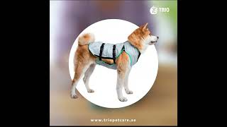 Dry Cooling Vest Dog | Quick Review | Summer Products for Pets | Trio Pet Care | UAE