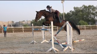 Gabbana Jumping (2nd Lesson)