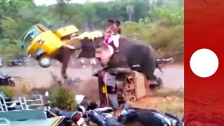 Elephant goes on rampage, flipping 27 vehicles, India