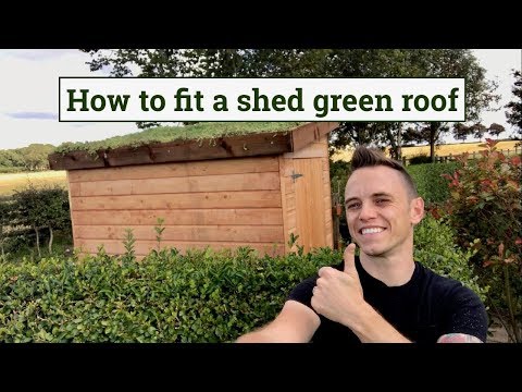 How to fit a green roof to a garden shed How to fit a green roof to a garden shed