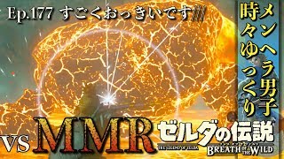 【DLC 英傑たちの詩】デカすぎメガマグロック戦！カミラ・オムナの祠も攻略！ 英傑ダルケルの詩 -Part177-【ゼルダの伝説BotW実況】【ブレスオブザワイルド 実況プレイ】