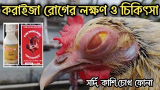 মুরগির করাইজা রোগের লক্ষণ ও চিকিৎসা | করাইজা কেন হয় | সর্দি কাশি চোখ ফোলা