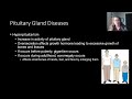 Endocrine Diseases and Disorders - Part 1