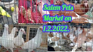 Salem Pets Market on 1.2.22.சேலம் மணியனூர் வளர்ப்பு பிராணிகள் சந்தை நாள்.1.2.22.A.J.Pets Market.