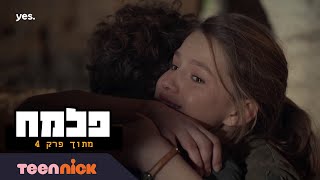 פלמ\