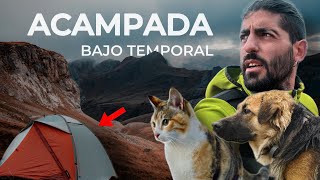 ACAMPADA en la MONTAÑA MÁS REMOTA de EUROPA con MASCOTAS | #60 VUELTA al MUNDO en AMBULANCIA