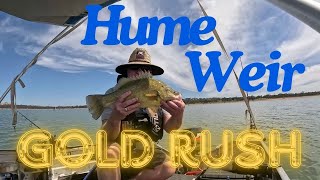 Hume weir Gold Rush