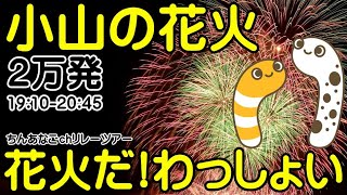 小山の花火　花火だ！わっしょい！19:10ｰ20:45　ちんあなごchリレーツアー　42/2023　行くぞー【ちんあなご＆女将さん】目指せ100ヶ所　みんなでにょろや~2023.07.30