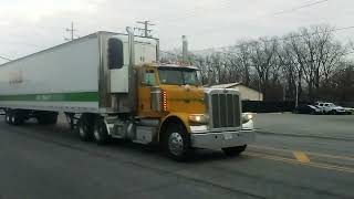 Another trucker honked the horn in another Peterbilt 379 Semi Truck.