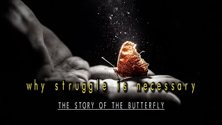WHY YOU STRUGGLE IN LIFE - The Story Of The Butterfly