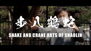 【ジャッキー・チェン】蛇鶴八拳 アクションシーン完全再現 Snake And Crane Arts Of Shaolin REMAKE【Jackie Chan】