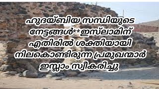 ഹുദയ്ബിയ സന്ധിയുടെ നേട്ടങ്ങള്‍ ഇസ്‌ലാമിന് എതിരില്‍ ശക്തിയായി നിലകൊണ്ടിരുന്ന പ്രമുഖന്മാർ ഇസ്ലാം സ്വീക