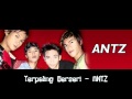 Terpaling Berseri - ANTZ