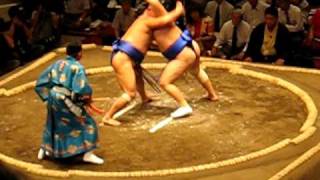 Best Sumo Warmup and Match Ever