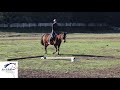 Rider Fitness exercise, 