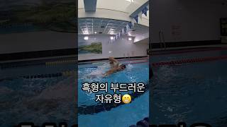 가볍고 부드럽게! 장거리 주 1회 섞어 훈련하기 #swimming #자유형 #장거리수영