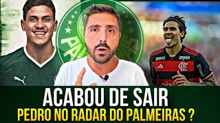 🚨MINHA NOSSA: PEDRO CONVERSA COM O PALMEIRAS PARA 2025? AVANÇOU?