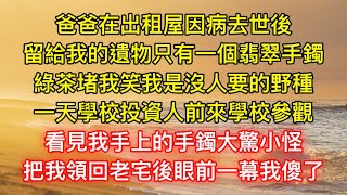 爸爸在出租屋因病去世後，留給我的遺物只有一個翡翠手鐲，綠茶堵我笑我是沒人要的野種，一天學校投資人前來學校參觀，看見我手上的手鐲大驚小怪，把我領回老宅後眼前一幕我傻了