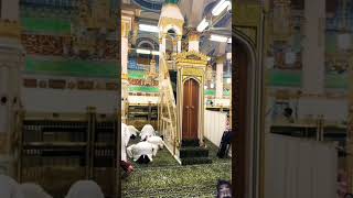 Inside of Masjid e Nabvi(SAW)#masjidnabawi #madina