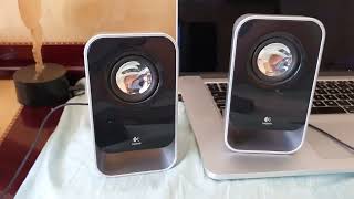 Review of Logitech LS21 PC Speakers