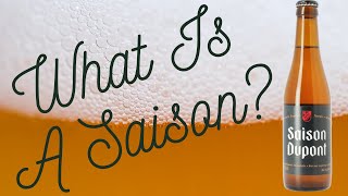 Beer Talk: What Is A Saison? (Quick and Easy Guide!) - Ep. #2400