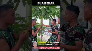 buah kutukan ⁉️ mengerikan