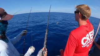 Accurate Tern 2 (TXD-400X) comes off while fishing in deep sea