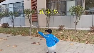 《五步拳》少林传统武术套路练习