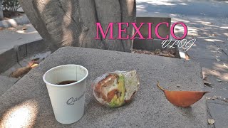 [Español] MEXICO VLOG vol.13 / 외국 일상 _한국가기 전 월마트 털이! Coreana V-log_13.WalMart antes de ir a Corea