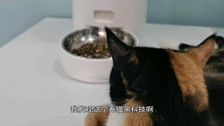 养猫黑科技，是智商税吗？