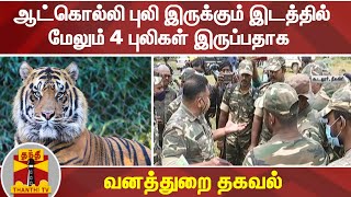 ஆட்கொல்லி புலி இருக்கும் இடத்தில் மேலும் 4 புலிகள் இருப்பதாக வனத்துறை தகவல் | Tiger T23 | Nilagiri