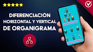 ¿Qué es la Diferenciación Horizontal y Vertical en la Estructura Organizacional?