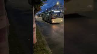 (BACAU) Mercedes Benz Connecto BC32STP (4) (8.08.2024) @davidYTTashTram