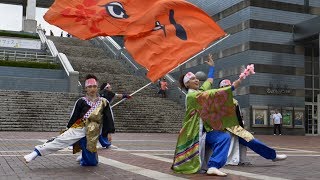 流 東京支部さん　多摩センター夏祭り2017　たまよさこい