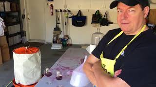 Making Zinfandel Wine in the Garage