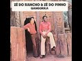 zé do rancho e zé do pinho 1978 o adeus de pelé