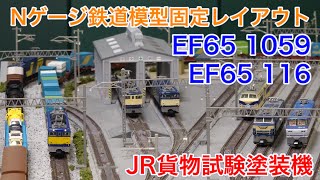 EF65 JR貨物試験塗装機がいた時代 Nゲージ鉄道模型固定レイアウト N scale model  railroad layout