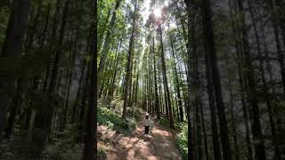 감히 힐링길이라 부른다🌲 #숲캉스~ 지금 바로 떠나세요!!