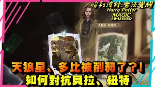 哈利波特:魔法覺醒 本週決鬥社環境介紹 上分牌組推薦哈利迴響 對抗貝拉、紐特 打法分析