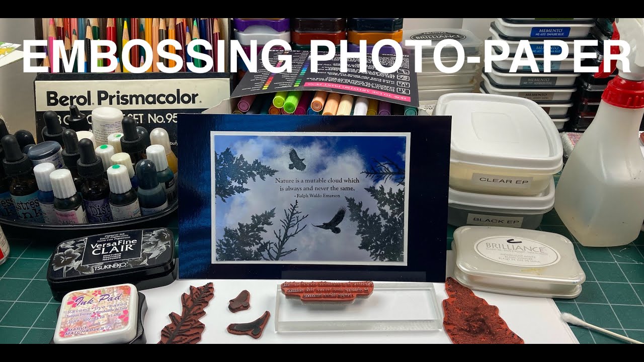 Stampscapes 101: Video 834 PHOTO-PAPER EMBOSSING (AND BLUNDER REPAIR!!!)