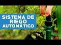 ¿Cómo implementar un sistema de riego automático en el jardín?