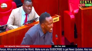 'RAILA ALLIES IN ETHIOPIA BEHAVED LIKE FOOTBALL FANS' Senator Onyonka reacts to Raila's AUC Loss