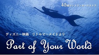 【マンドリン】ディズニー映画リトルマーメイドより　Part of Your World（45期生演奏）