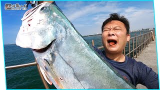 A mecca for fishing in southern Taiwan! How can there be so many Tainan big fish!