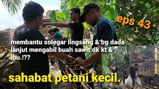 kegiatan 2 hari iwan ujs membantu solegar lgsg \u0026bg datang lanjut mengambil buah sawit dk kt \u0026 ibu.!?