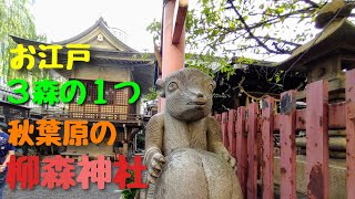 お江戸３森の一つ　秋葉原　柳森神社　２０２１年１０月５日撮影