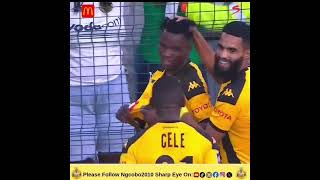 Lilepo's Goal Against Stellenbosch FC l Stellenbosch FC vs Kaizer Chiefs